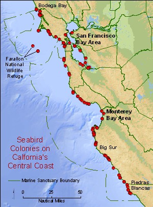 Seabird Colony map