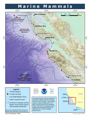 Marine Mammals_ map