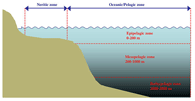 open ocean