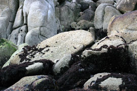 Rocky shores