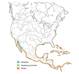 Distribution map