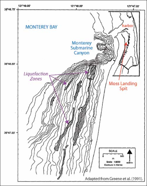 loma prieta earthquake facts. Loma Prieta Earthquake