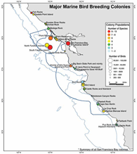 bird map