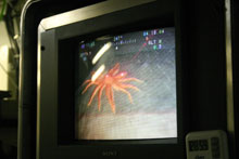 Video screen