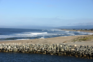 Moss Landing