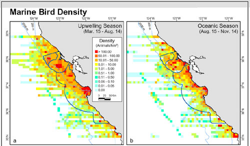 Seabird density map