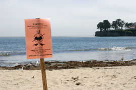 Beach closure