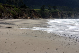 Ano Nuevo beach