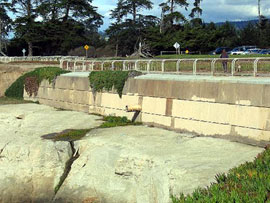 Seawall