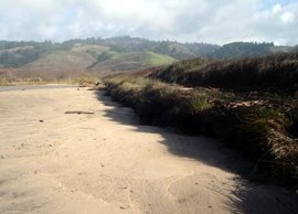 Scott Creek