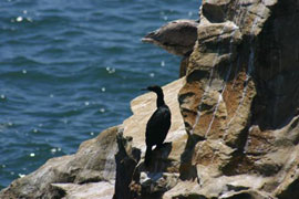 rocks and islands