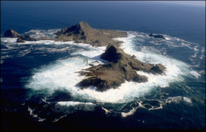 Farallon Islands