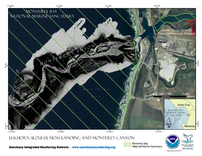 Elkhorn Slough, Moss Landing and Monterey Canyon