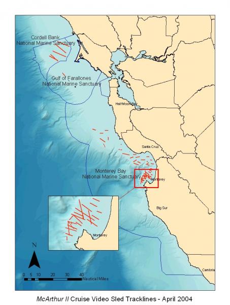 F/V McArthur II Cruise Video Sled Tracklines - April 2004