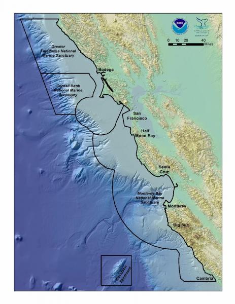 National Marine Sanctuaries of Central California