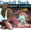 The 2009 Cordell Bank Condition Report is Available
