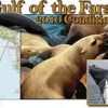2010 Gulf of the Farallones Condition Report