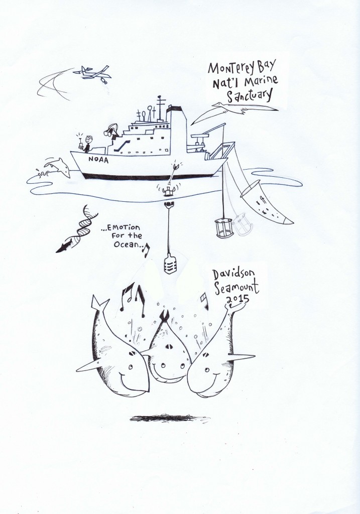 The overall goal of the cruise is to compare life over Davidson Seamount versus adjacent to it; and to do some mid water fish characterization in Sanctuary Ecologically Significant Areas (SESAs). Components of the sketch: NOAA ship, Visual observations of birds and mammals, UAS to count mammals, Hydrophones to hear mammals, eDNA to assess fishes, traditional net surveys for fishes, CTD for ocean chemistry, Major sponsor: "Emotions for the Oceans" book.