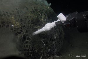 A long PVC is inserted into the corn bale by the ROV's manipulator arm to obtain a sample from within.