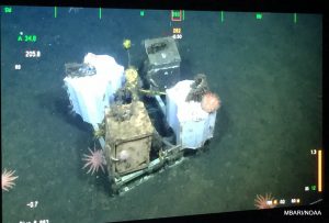 Four experimental treatments to test the differences between anti-fouling paint and natural substrate. 