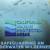 New video about the MPA Collaborative released by CDFW