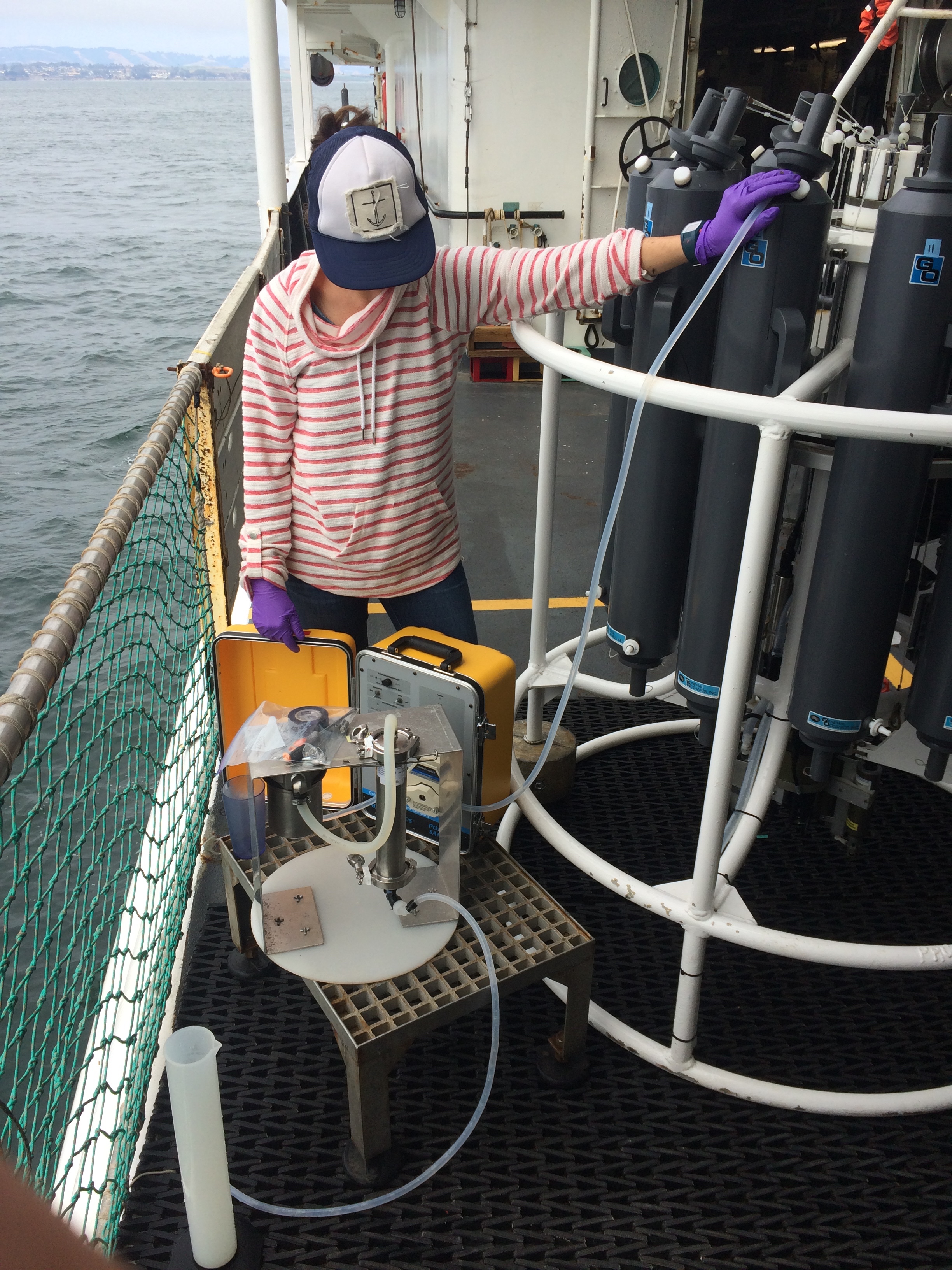 Cruise Blog: Exploring sea life over Davidson Seamount: a research