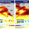 New Marine Heatwave Emerges off West Coast, Resembles "the Blob"