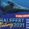 Annual Whalefest Monterey: A free virtual event: Jan 26-29, 2021