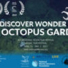 "Discover Wonder: The Octopus Garden" Wins Best Short Film at the International Ocean Film Festival