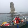 Kelp forest monitoring continues in Olympic Coast National Marine Sanctuary
