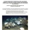Report Available on West Coast Deep-Sea Coral and Sponge Survey