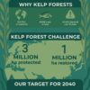 $14 billion needed to help the kelp