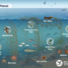 New Sanctuary Watch web portal monitors national marine sanctuaries