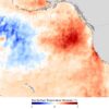 Marine heat wave impacting California coastal water temperatures