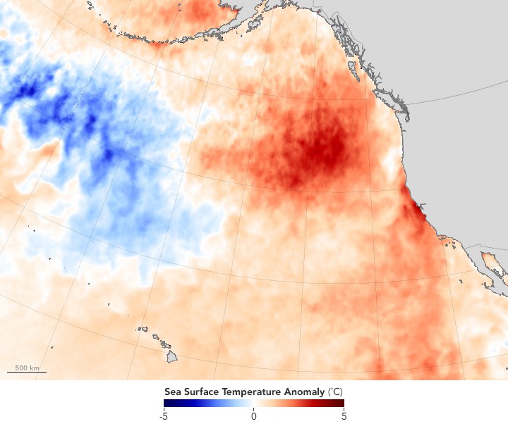 Marine heat wave impacting California coastal water temperatures